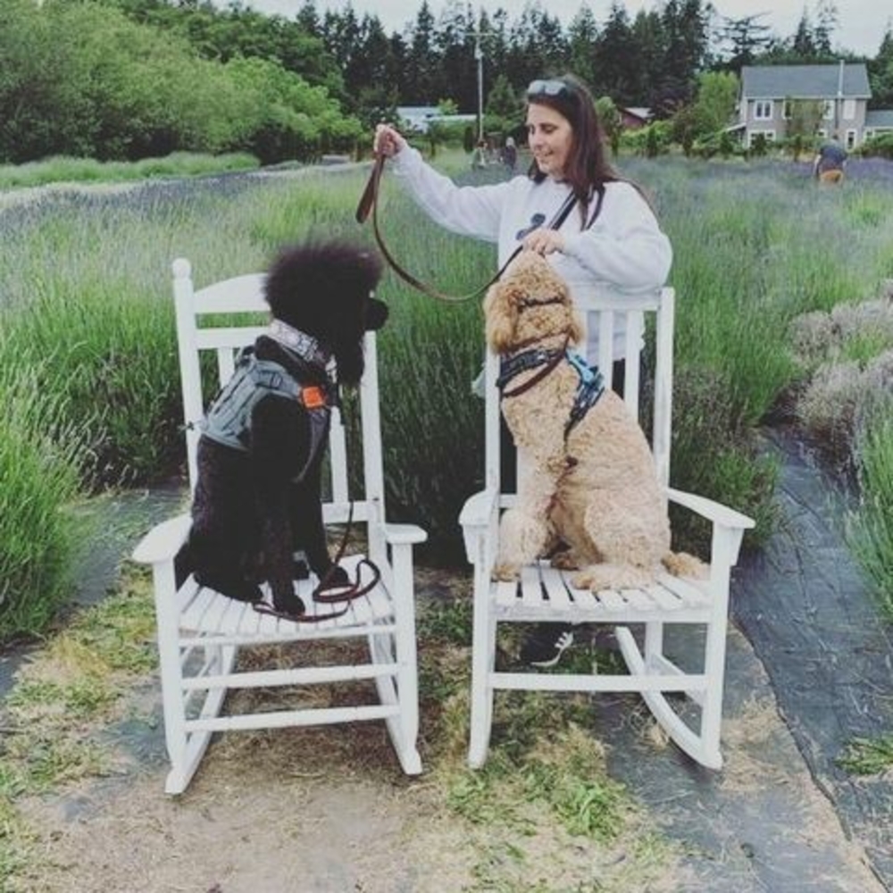 Meet your Posher, Liz